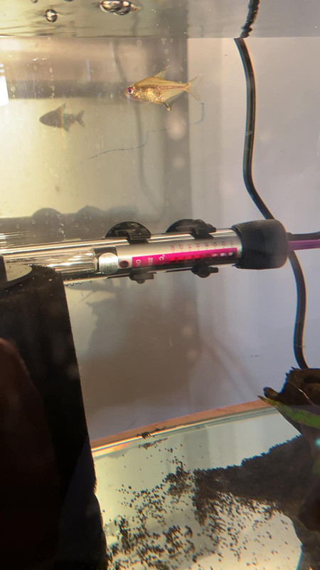 535CF7A2-A626-4417-81FC-FDF64B43DC0E