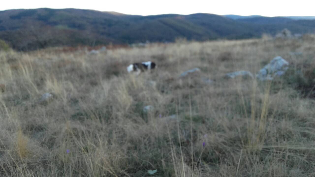 DC391163-608E-4591-86FC-0ACFEC9BF184