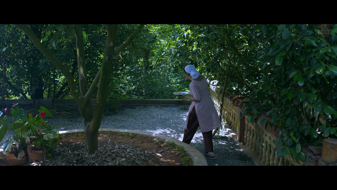 vlcsnap 2026 02 11 15h45m02s619