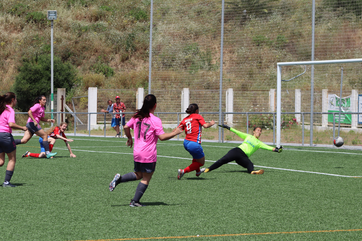 IMG-1833