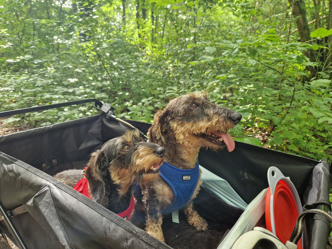 [Image: 20240629-103451.jpg]