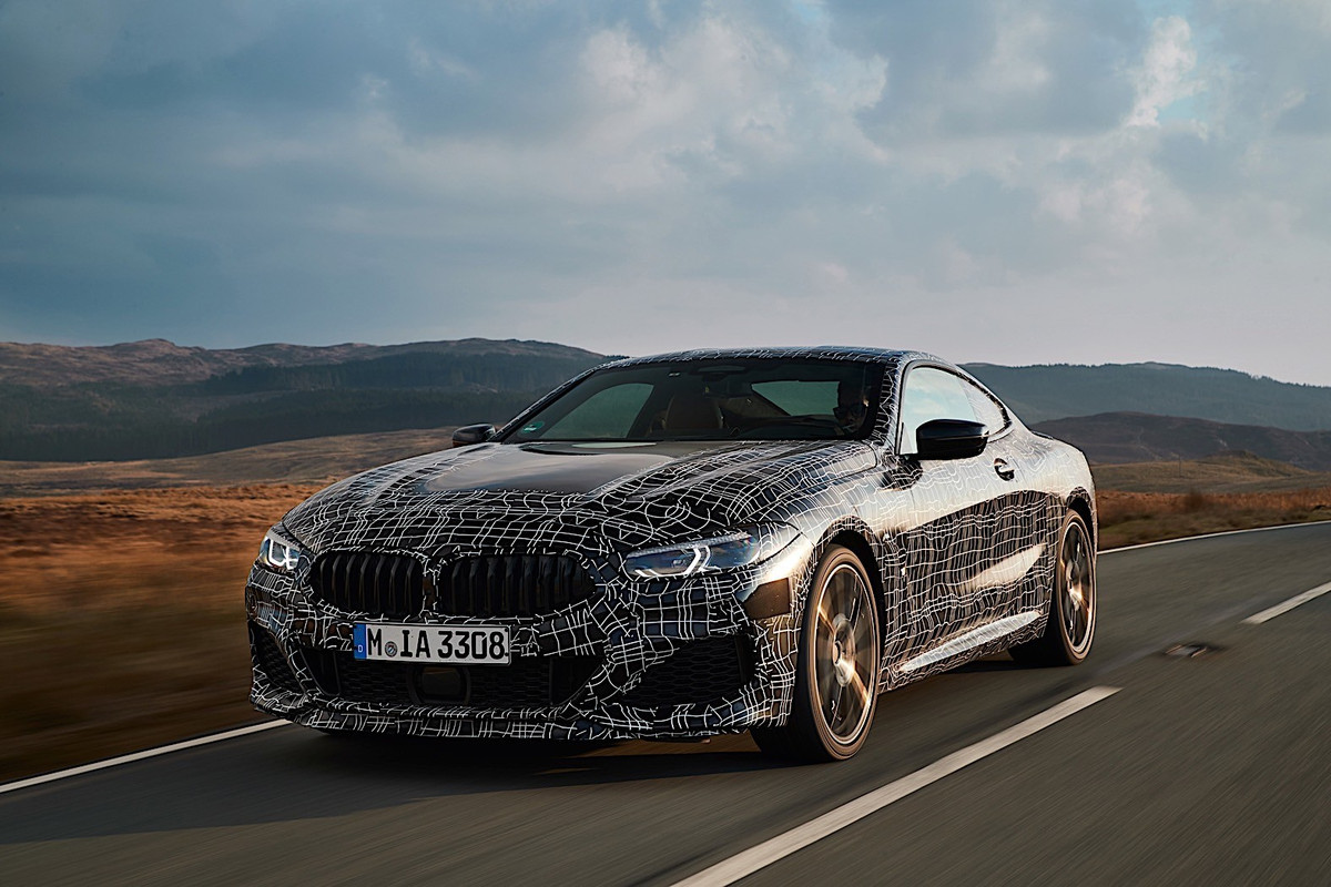 BMW 8 Series Coupe (19)