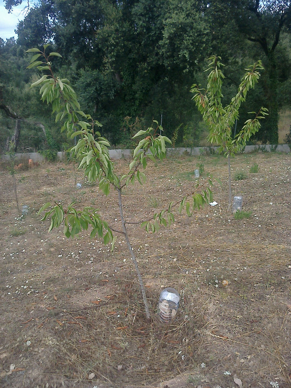 foto0154