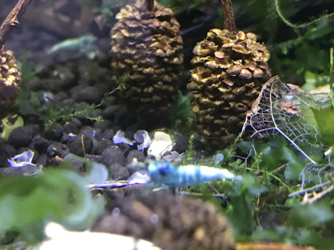 E1860088-00A5-43FF-80AD-2E05A1F240F4