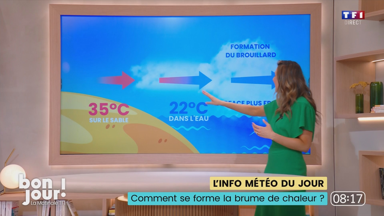 Bonjour Daniela TF1 310724.mp4_snapshot_01.27.16.820