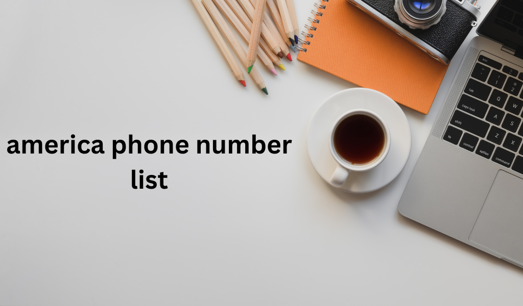 https://i.postimg.cc/MpsqT9vV/america-phone-number-list-2.png