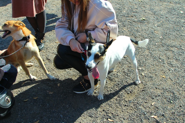 650E307F-0C63-4728-A602-7A7BE4EECA2A