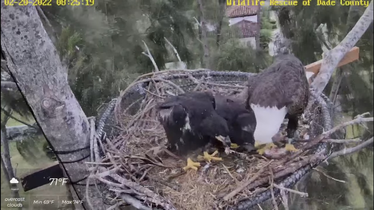 92D6730C-5831-4512-86B5-FF646B832B1A