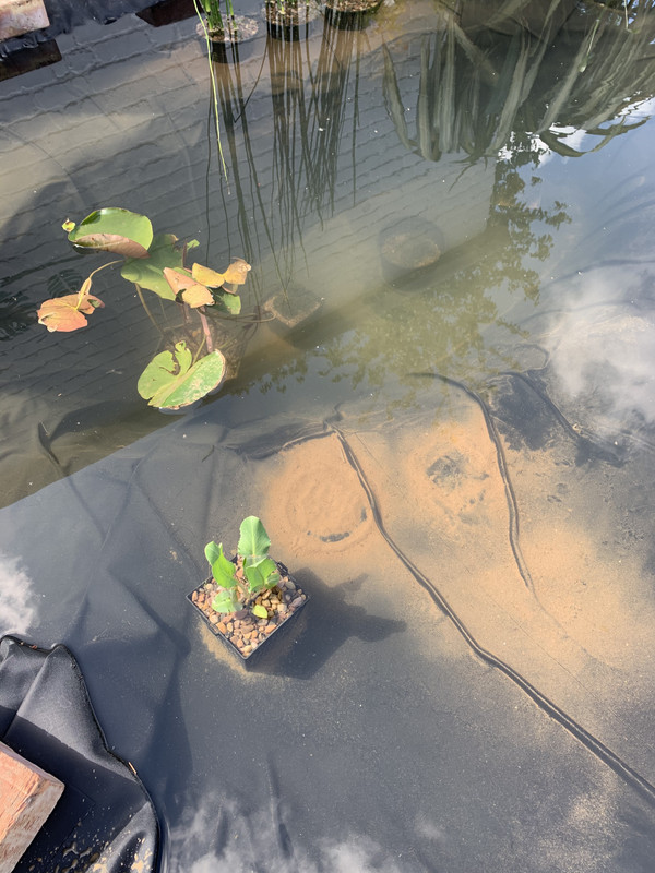 DDA99159-A9F6-4DDE-8509-0647AD2C5556