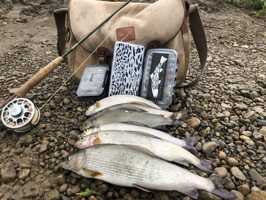 17156802-75FE-4F05-87CC-D88DE26533E9