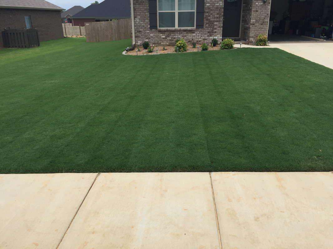 0D8DE520-8F56-4199-95C3-9401D9DA1CA8