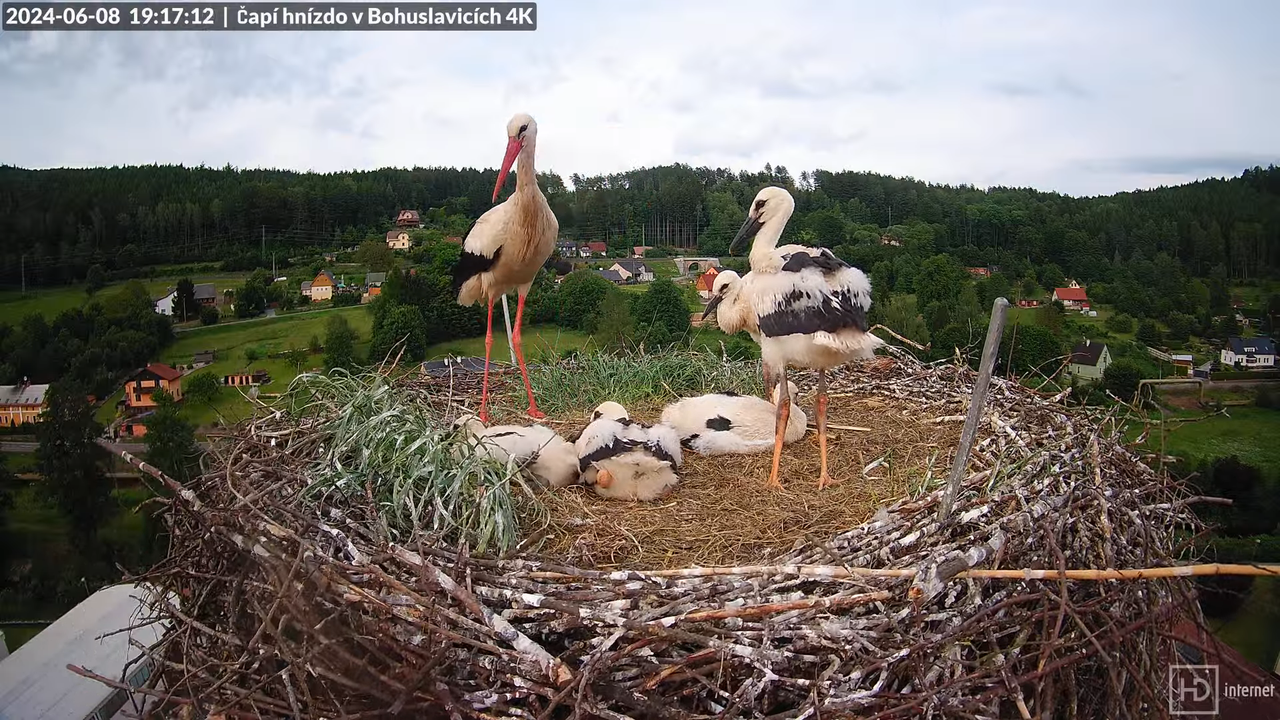 Tiešraidē no uzņēmuma KARA stārķa skursteņa Bohuslavicē pie Trutnovas 14-54-8 screenshot