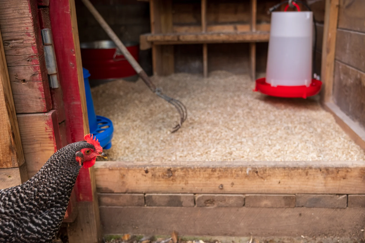 Hemp Hurd Chicken Coop 1085