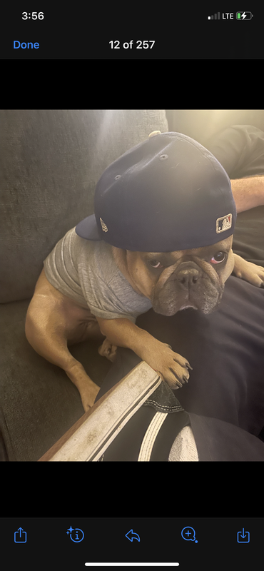 04CB9978-C850-4734-B171-A2C24DD3E296