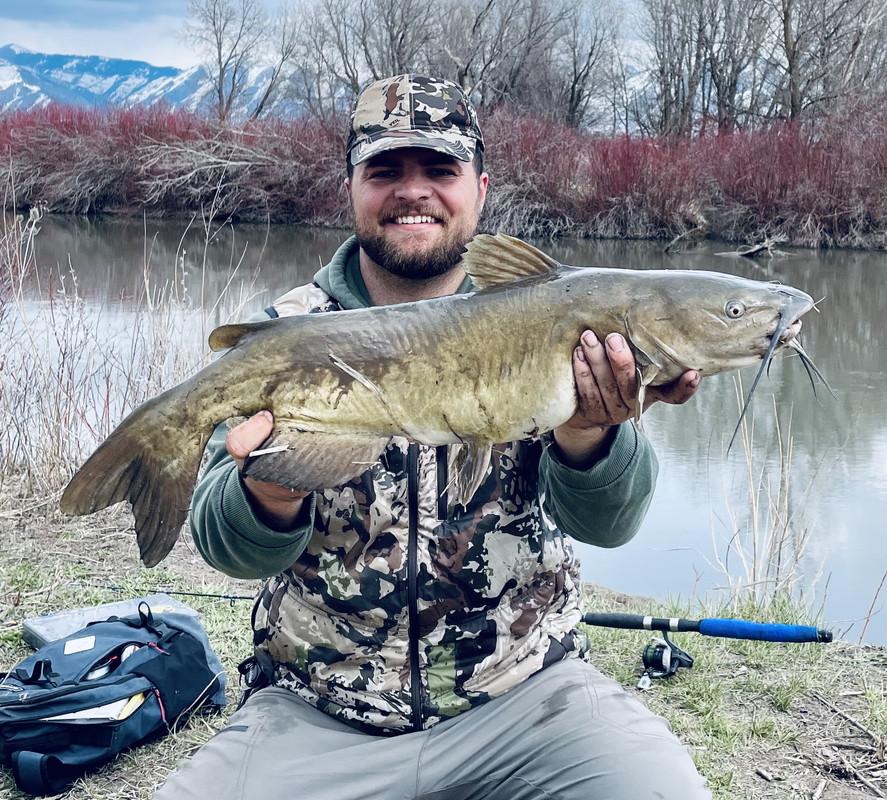 D248C639-ADEF-404C-ADB7-AC4E5412F2B3