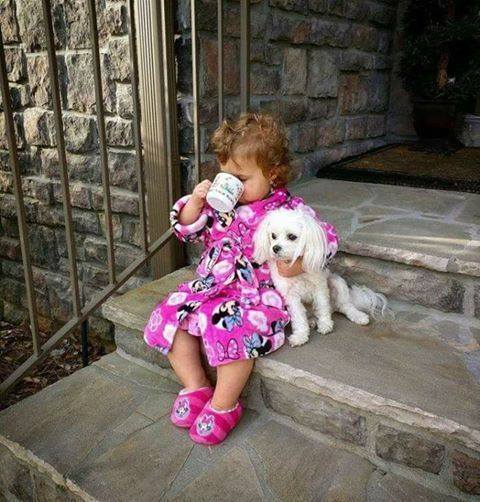 55576576-1545314368935596-512381300535984128-n