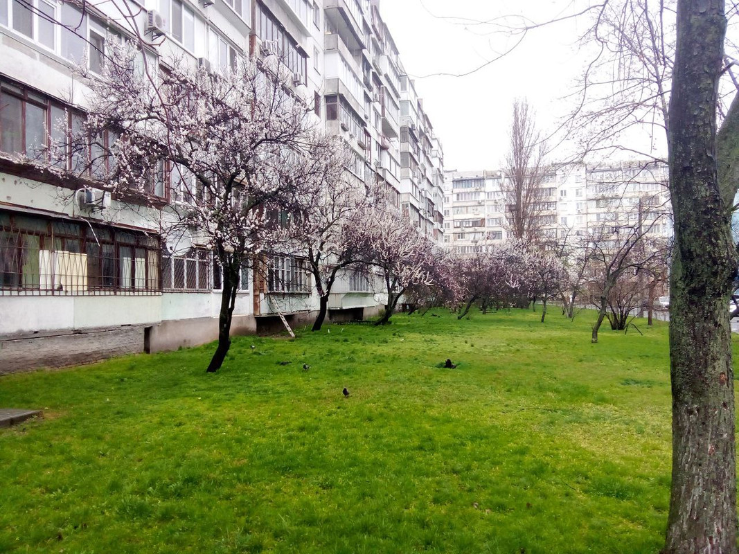 photo_2025-04-01 8.17.50 пп