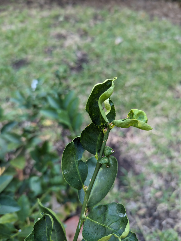 PXL_20231121_134417170