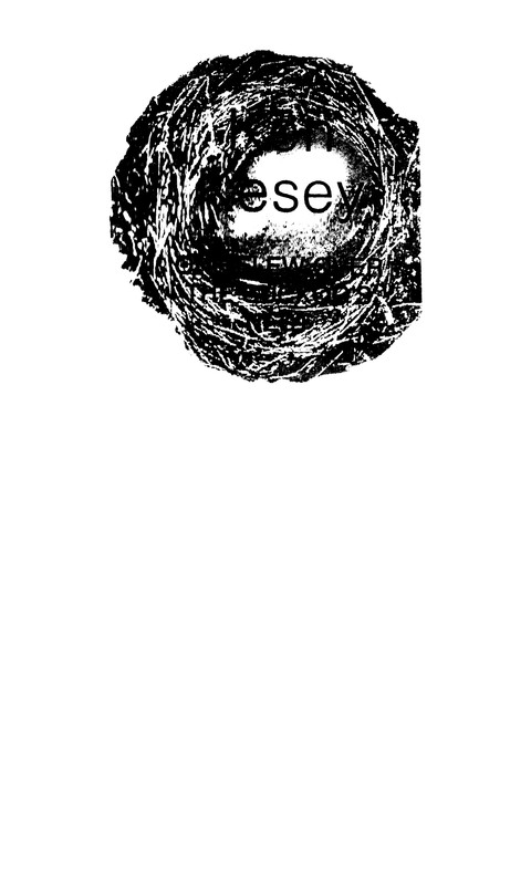 p0003