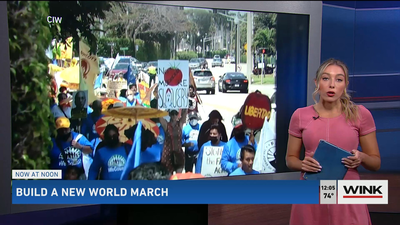 03.14 - 16.00.00 - The WINK Noon News  ᴺᵉʷ. Midday news update..ts_snapshot_11.22.297