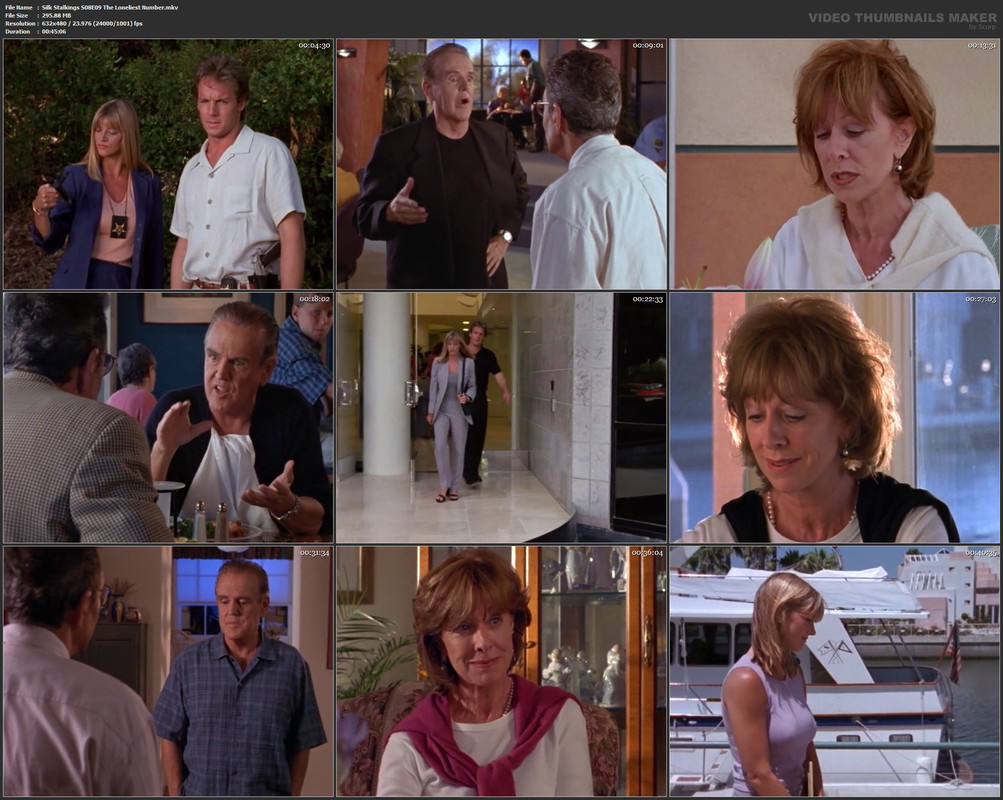 Silk Stalkings S08E09 The Loneliest Number.mkv