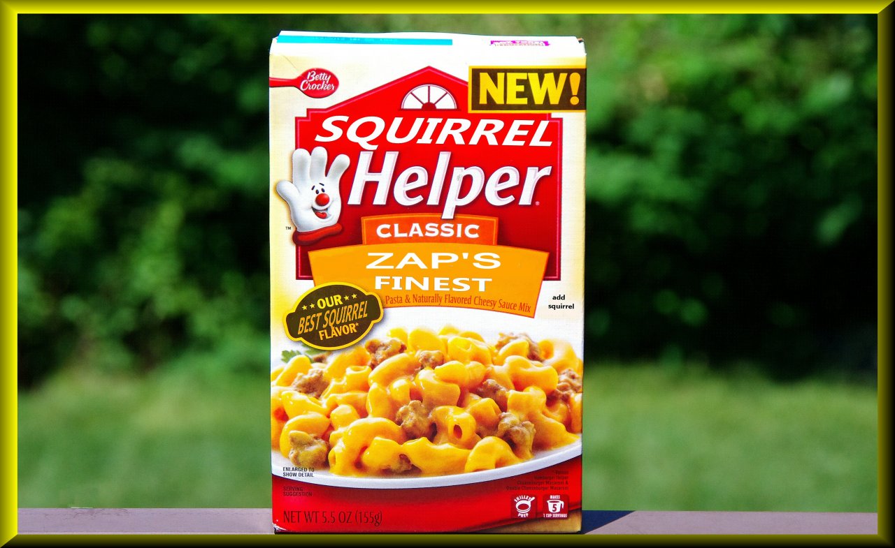 squirrel