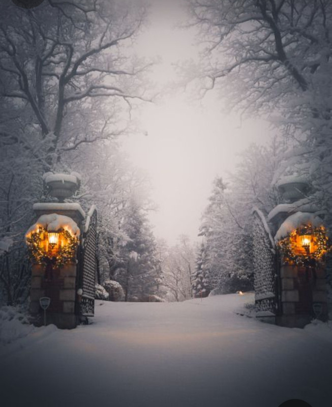 Screenshot_20231212_201938_Pinterest