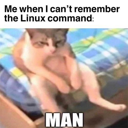 86th.jpg