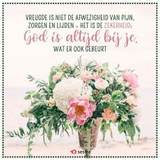 Godisaltijdbijje