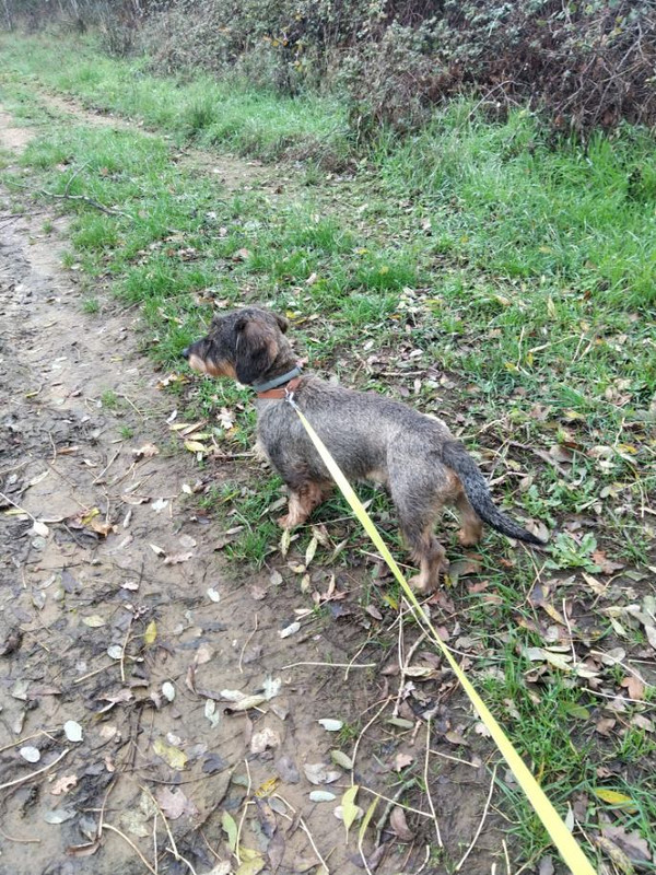 [Image: image000001-5.jpg]