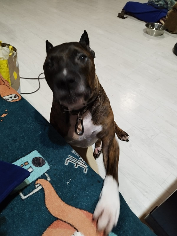 94582891-23E6-44E9-8345-A6C188480A85