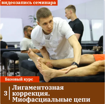Лигаментозная коррекция. Миофасциальные цепи (Андрей Максимов)