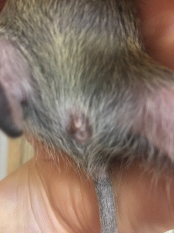 FC7EEE26-89F7-4AB5-BAB7-C4AE72F2A3EF