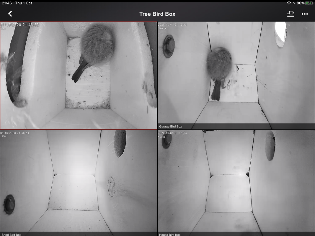 456EDB6B-388D-4B4A-A6ED-D6B73E925071