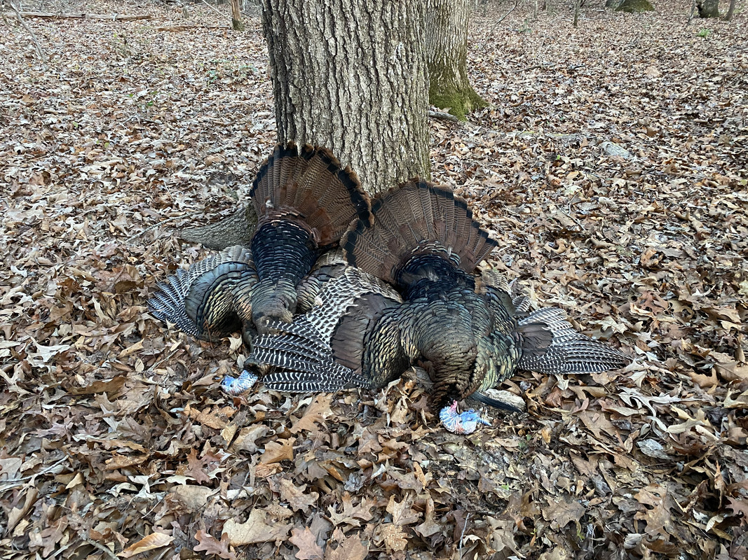 CA41FFE4-E0B4-4209-B80A-5E9494FD035A