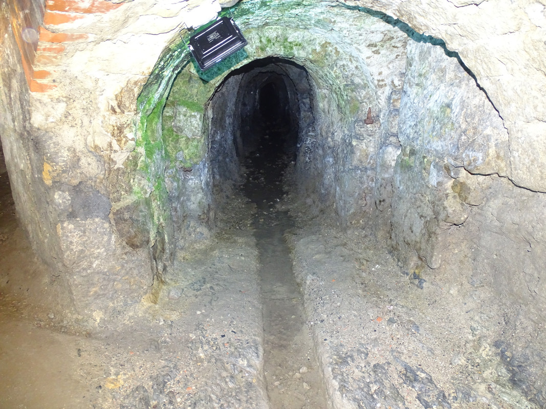 08.13 - DSC01777 (irycki)