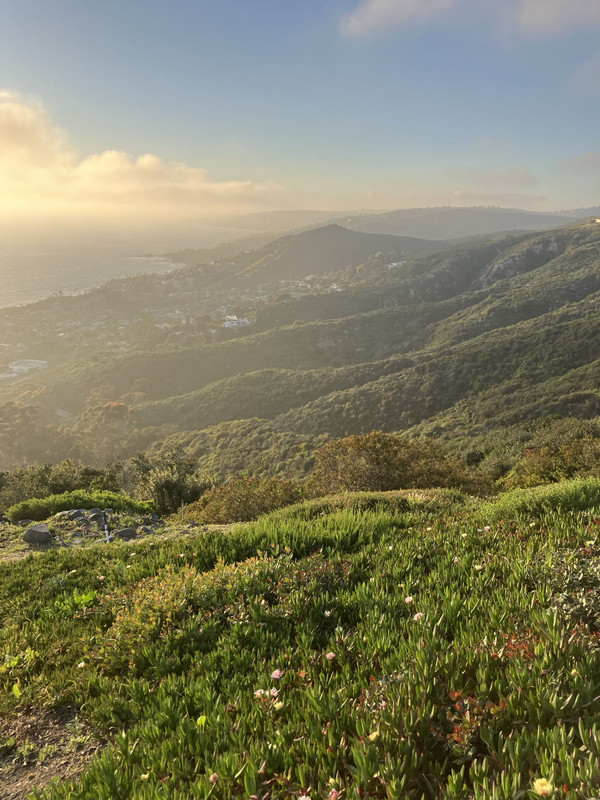 DF100D1C-6B48-4856-952F-5A484D3488D6