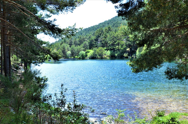 RUTA VALLE DE LA BARRANCA-6-6-2013-MADRID - Paseando por España-1991/2017 (54)