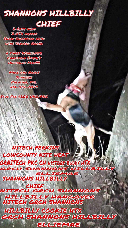 8E01A5DC-CEEE-4B12-89D7-9AEEEE0D0ED4