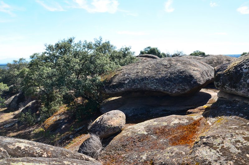 CANCHO DE VALDECASTILLO-14-6-2023 - Extremadura y sus pueblos -2010-2023 (30)