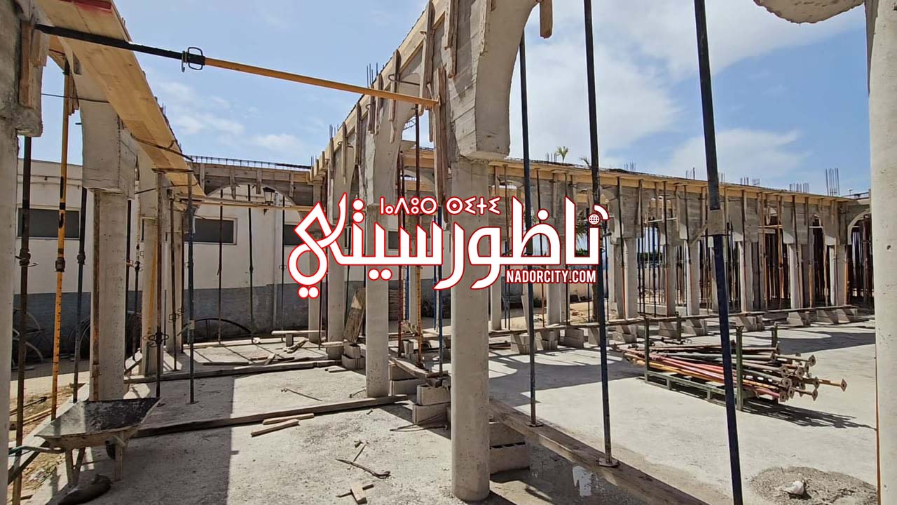 Whats-App-Image-2026-06-28-at-16-51-02