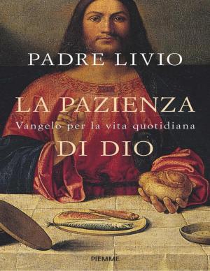 Padre Livio Fanzaga – La pazienza di Dio (2020)
