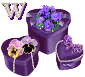 Corazones Color  Violeta W