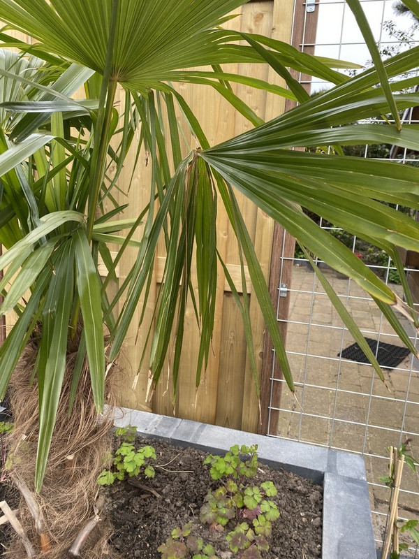 AC86FF8E-82F1-48F7-AE77-D1C234E6033A