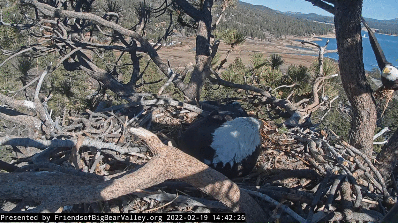 Webp.net-gifmaker (1)