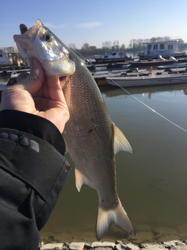 96A66F89-145B-48C4-A536-83492C6BBD73