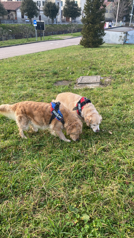 EAAF1BD4-2FAC-4E56-82A1-5A2EF647B971