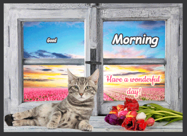 An den Beitrag angehängtes Bild: https://i.postimg.cc/Mpz3KqJs/oie-88320o-Otc-IFSm.gif