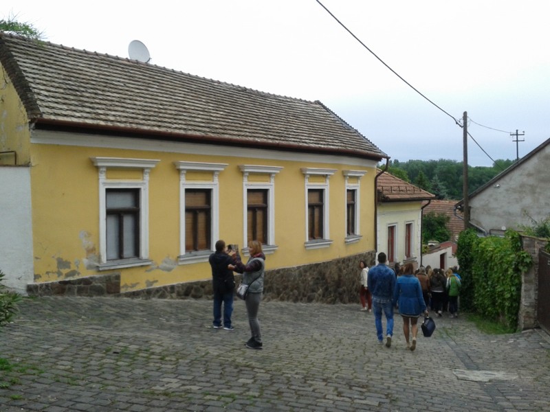 Slika