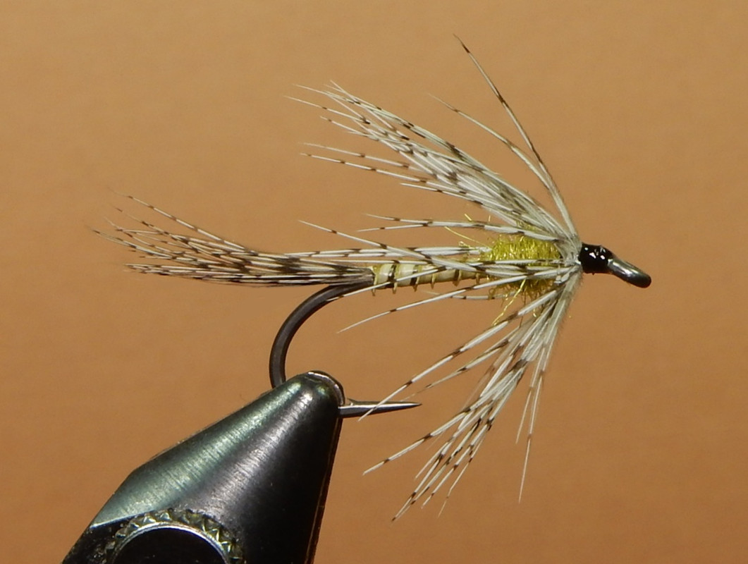RP-Emerger-1080.jpg